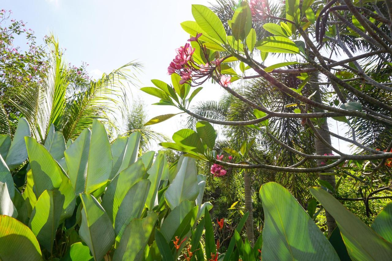 Ibludan Hotel Senggigi Kültér fotó