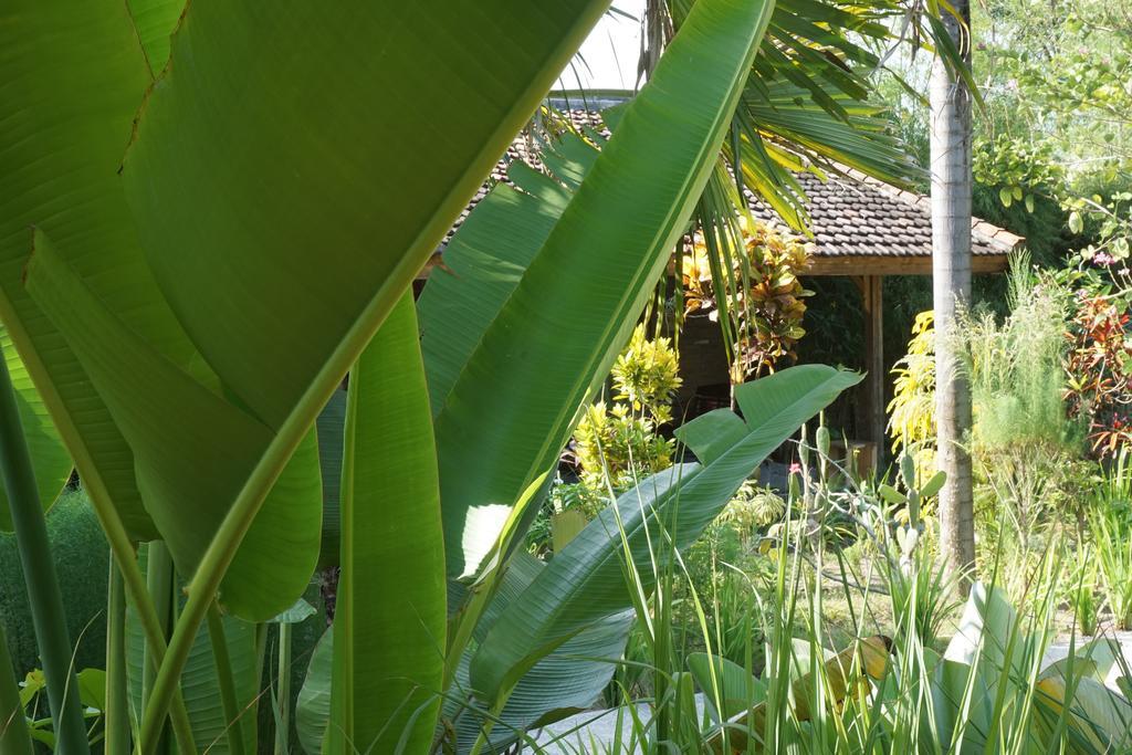 Ibludan Hotel Senggigi Kültér fotó