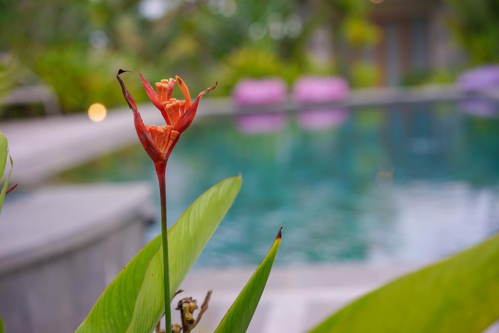 Ibludan Hotel Senggigi Kültér fotó
